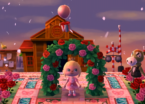 Kirschblütenpracht