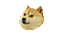 :dogedeal:
